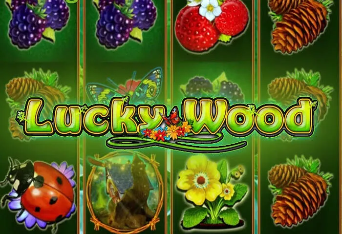 Player enjoying a slot game using free spins from a no deposit bonus code